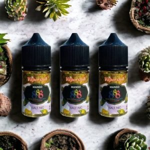 馬來西亞進口的888系列大煙60ML