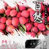 百態煙彈 3入裝 FPX，適用於通用的 RELX 和 SP2S 一代主機系列。