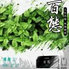 百態煙彈 3入裝 FPX，適用於通用的 RELX 和 SP2S 一代主機系列。