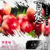 百態煙彈 3入裝 FPX，適用於通用的 RELX 和 SP2S 一代主機系列。